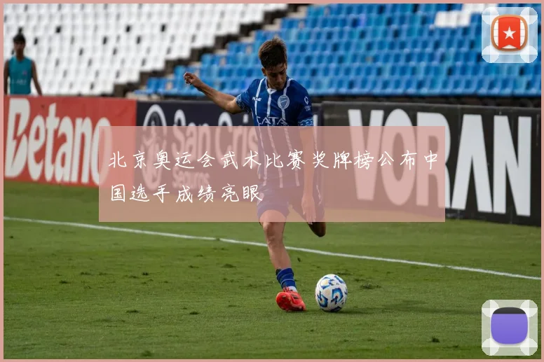 北京奥运会武术比赛奖牌榜公布中国选手成绩亮眼