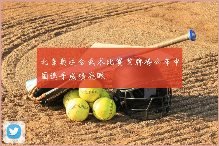 北京奥运会武术比赛奖牌榜公布中国选手成绩亮眼