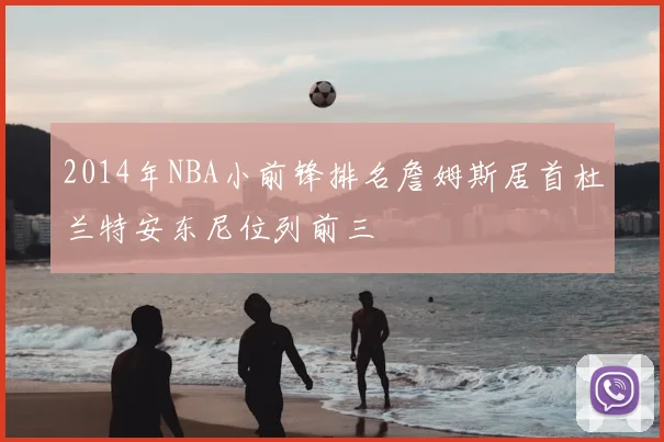 2014年NBA小前锋排名詹姆斯居首杜兰特安东尼位列前三