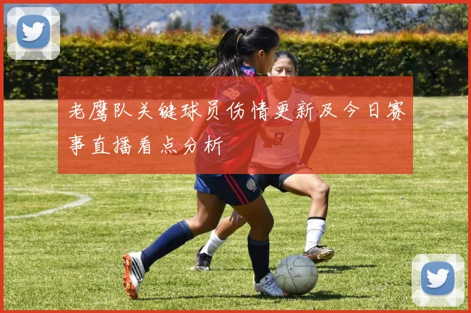 老鹰队关键球员伤情更新及今日赛事直播看点分析