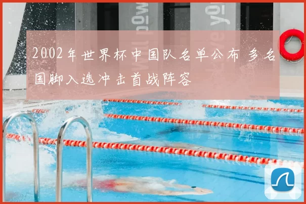 2002年世界杯中国队名单公布 多名国脚入选冲击首战阵容