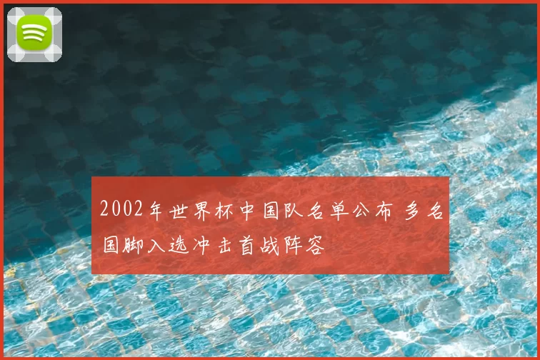2002年世界杯中国队名单公布 多名国脚入选冲击首战阵容
